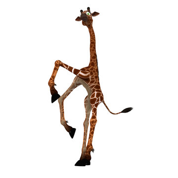 Cute giraffe with a funny face - lovely