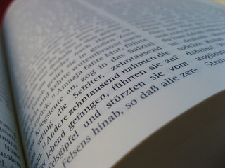 Buchseite