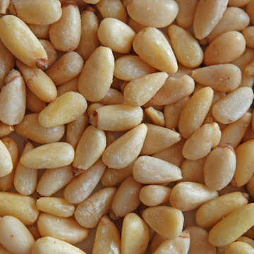 Pignons de Pin - Pine Nuts