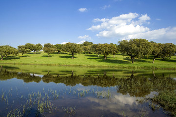 spring landscape - beautiful lake and green field