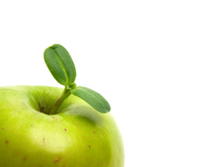 abstract apple
