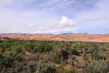 palmeraie de tinghir, Maroc