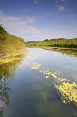 Sunny day on the river