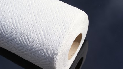 Kitchen towel roll