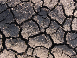 Cracks on a ground