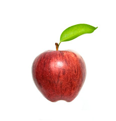 apple isolated on white background