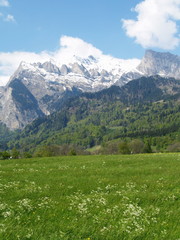 Fototapeta na wymiar suisse ...alpes