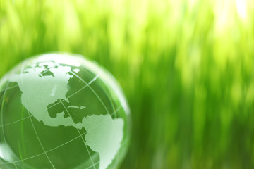 Glass earth in grass © Leigh Prather