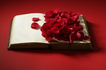 Rose petals over old aged book