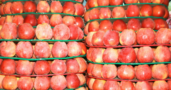 ripe sweet red apples