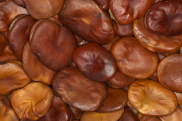 Beans background
