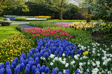 Keukenhof Spring Tulip Garden