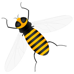 bee