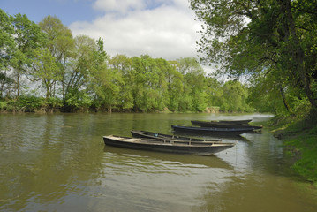 Barques sur le bord de la Loire