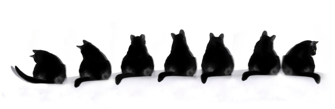 chats