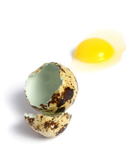 Quail Egg broken on white background