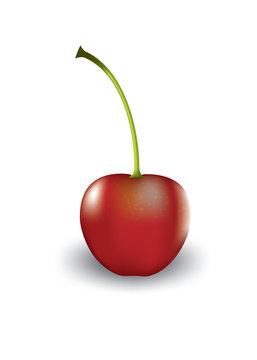 Vector cherry