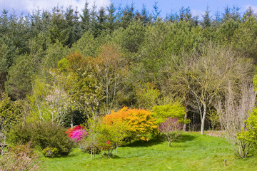 view of a park during the spring