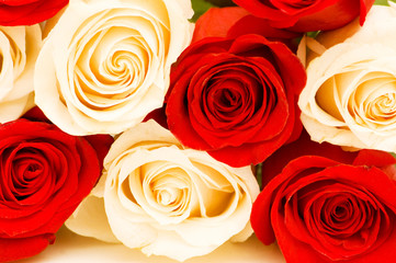 Background of the red and white roses