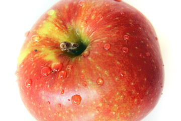Apfel