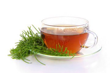 Tee Ackerschachtelhalm - tea field horsetail 01