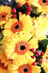 Blumen