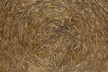 Hey bale