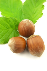 Hazelnuts