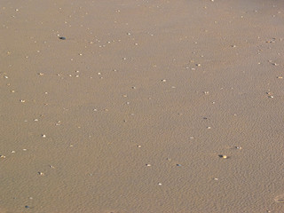 Sand #2