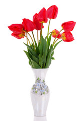 bouquet of the fresh tulips isolated on white