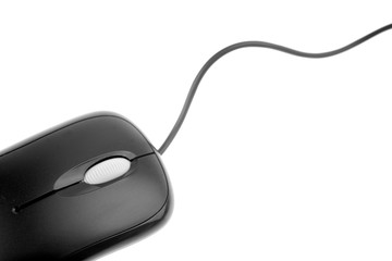 Computer mouse over white background