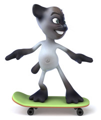 Chat en skateboard