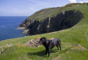 Ogof Gynfor