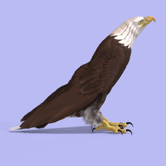 Great Eagle