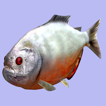 recommend clip art: Piranha