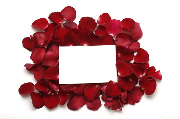 Rose petals and blank card for your text