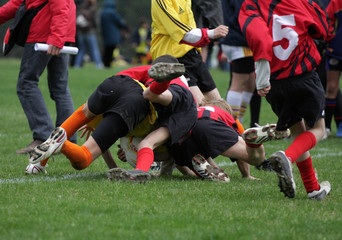 rugby