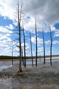 Yellowstone NP