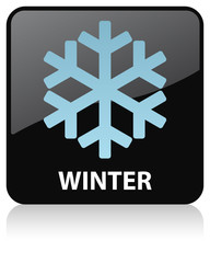 Winter Icon