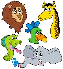ZOO animals collection 6