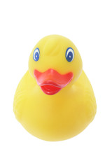 Rubber Duck