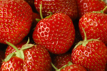 Erdbeeren