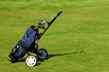 Blue golf bag on green fairway