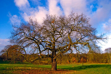 Herbstlandschaft