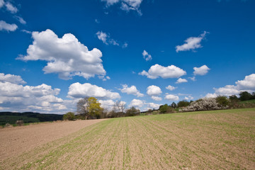 green field