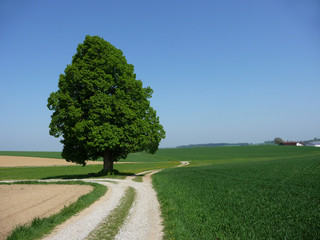 Stille