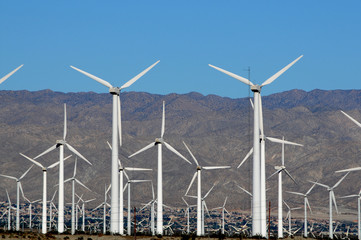 field of wind turbins against blue sky