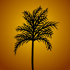 baum/palme mit orangem hintergrund