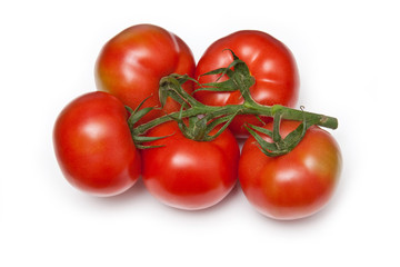 Vine tomatos isolated on a white background