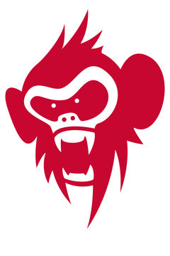 monkey